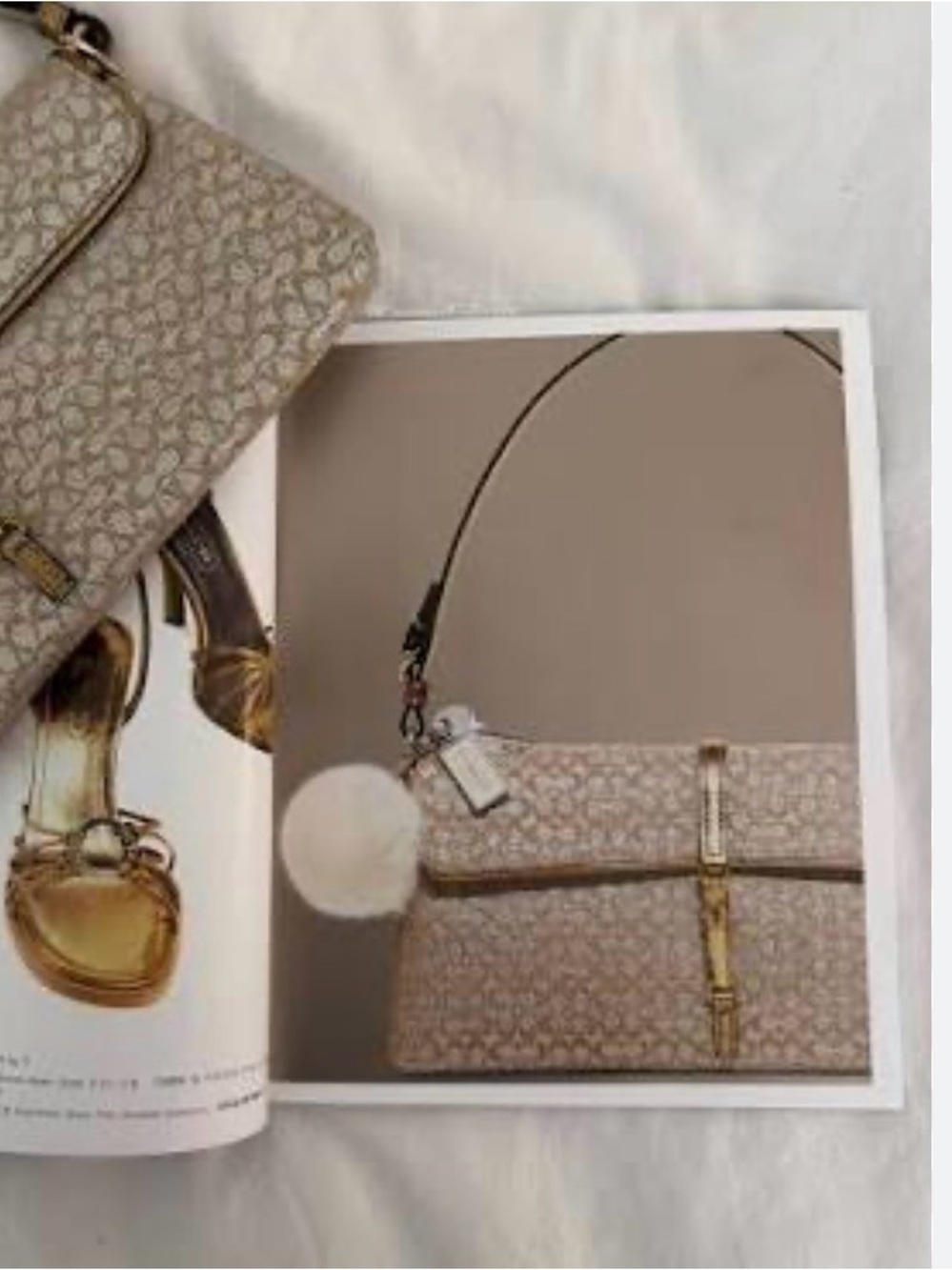 Stunning Vintage Coach Evening Bag